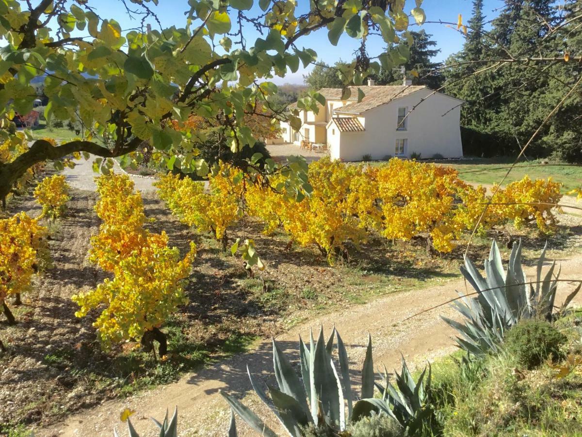 Bed and Breakfast Mon Chemin Prive Mirabel-aux-Baronnies Екстер'єр фото